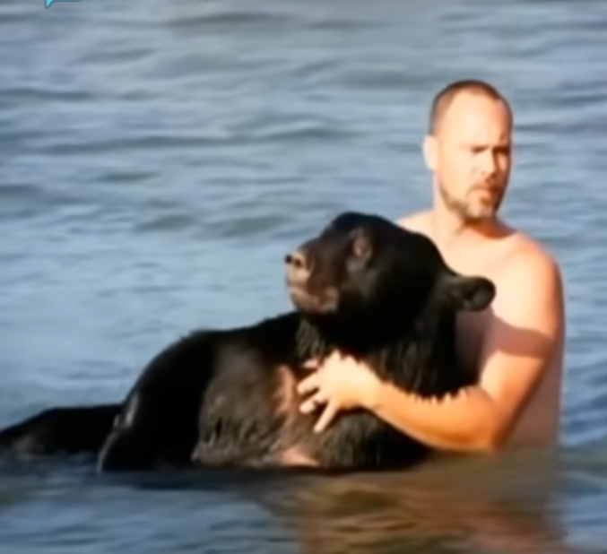 When a 400-Pound Black Bear Nearly Drowned, One Man Bravely Stepped In to Save Its Life