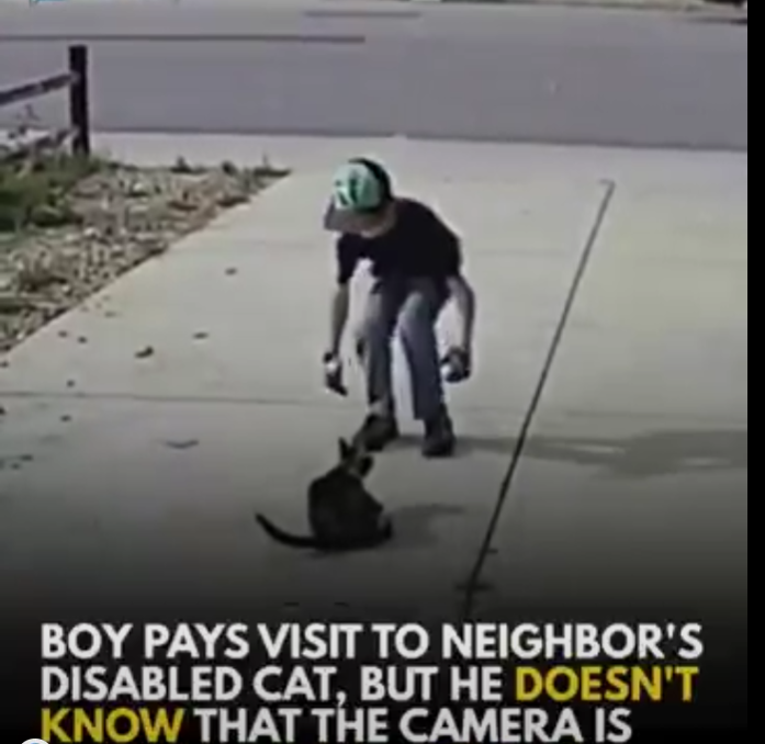 The Unseen Hero: How One Boy’s Kindness Toward a Disabled Cat Was Secretly Captured on Camera