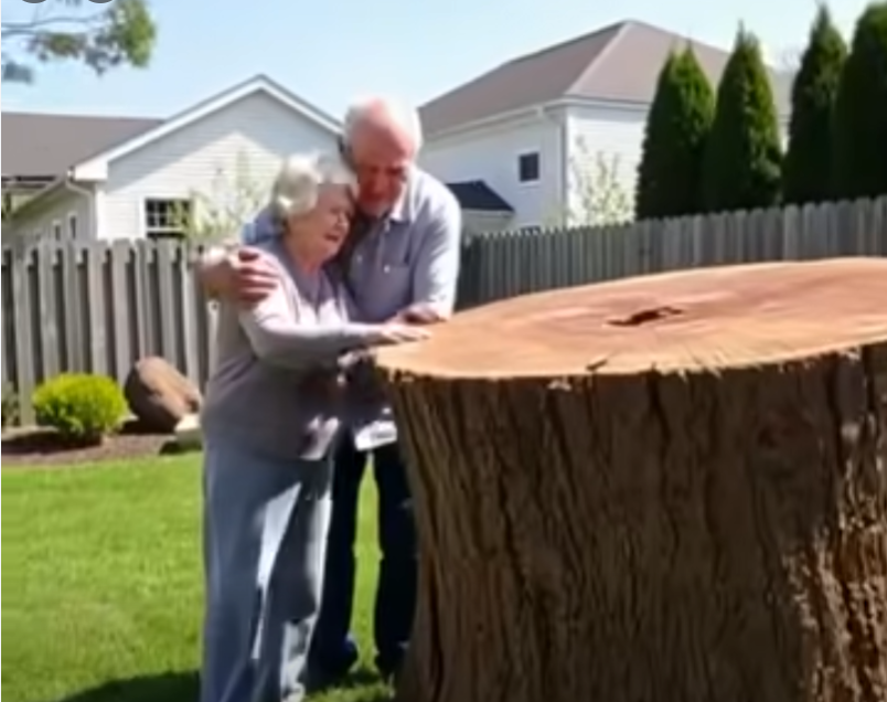 The Tree That Disappeared: What We Discovered on Camera Changed Everything
