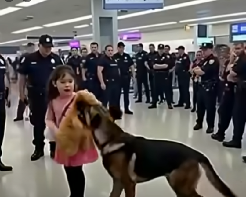 K9 Dog Barks at a Family in the Airport—What They Discover Leaves Everyone Stunned