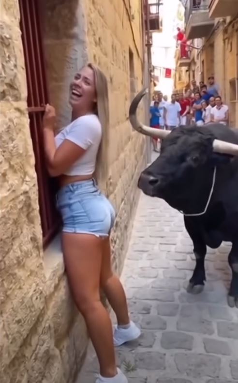 A Tourist Comes Face to Face With a Bull — What Happens Next Is Unexpected