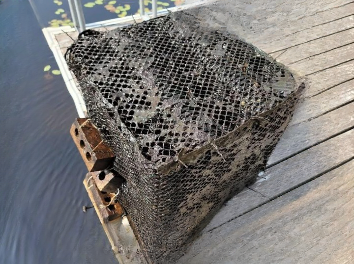 What Lies Beneath the Surface: The Hidden World That Shapes Every Fishing Experience