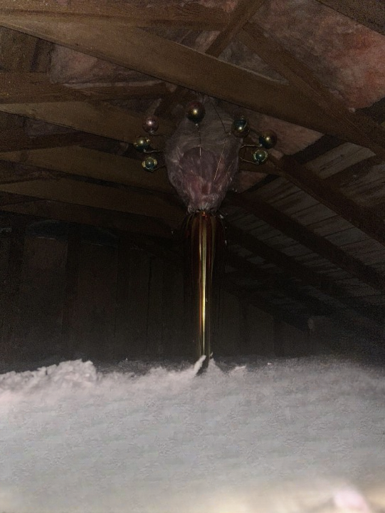 An Unexpected Attic Discovery That Transformed Into a Heartwarming Story
