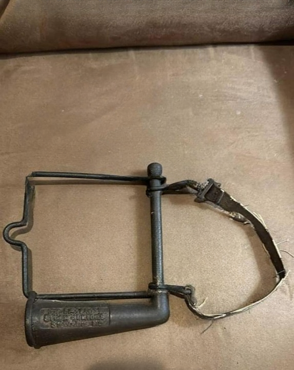 The Fascinating Story Behind the Antique Horse Drencher — A Forgotten Tool That Helped Shape Early Veterinary Care