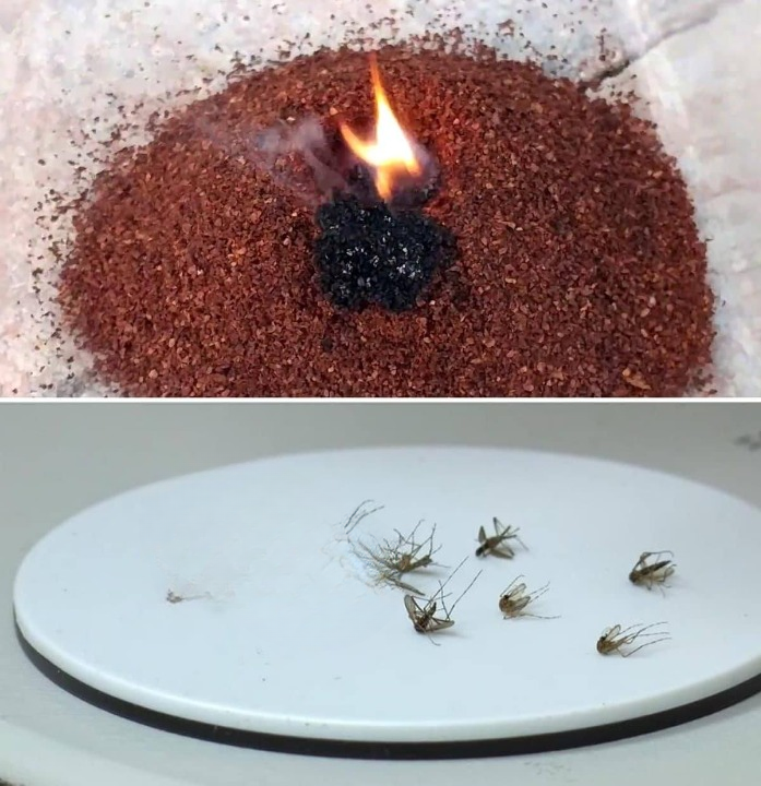 A Simple, Natural Way to Keep Mosquitoes Away — Practical Tips That Actually Work