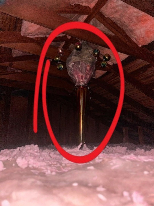Mysterious Find in a 1960s Attic – Can You Identify This Unusual Object?