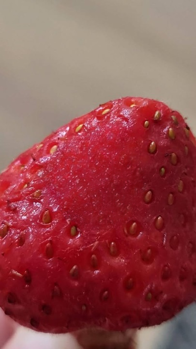 I Soaked My Berries in Salt Water and Saw Tiny White Wriggling Specks — What Does It Mean and Should You Toss Them?