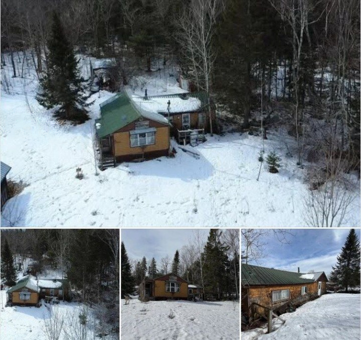 Peaceful Nature Retreat for an Affordable Price – Discover the Details