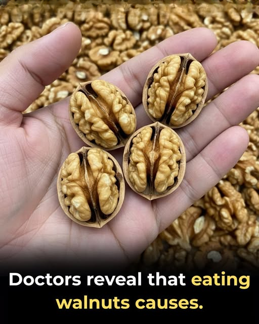 What Happens When You Eat Walnuts — Benefits, Nutrients, and Things to Keep in Mind