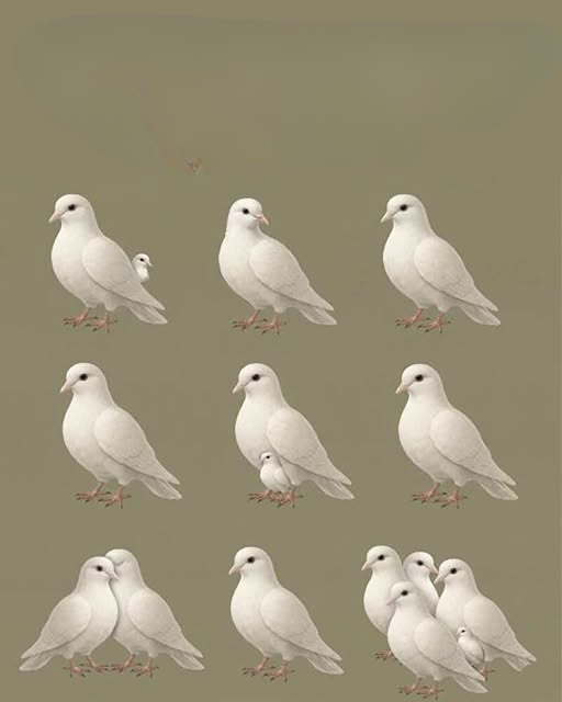 Is It Just a Coincidence? Understanding the Meaning People Associate with Seeing Doves