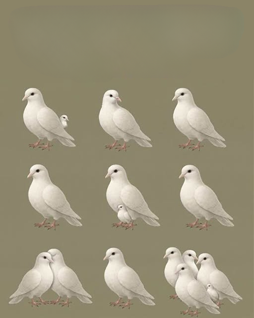 Is It Just a Coincidence? What Repeatedly Seeing Doves Might Mean in Your Daily Life