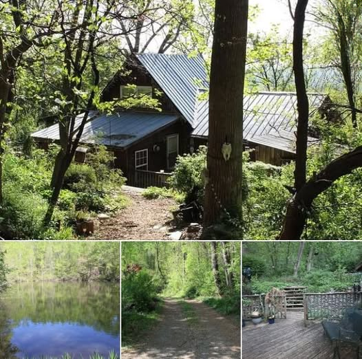 A Tranquil Mountain Retreat: Cabin Living on 9.25 Acres Near Nature’s Finest Landscapes