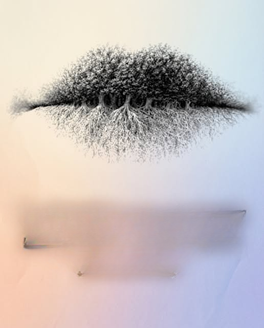 What You Notice First in a Visual Puzzle — And What It Might Say About You