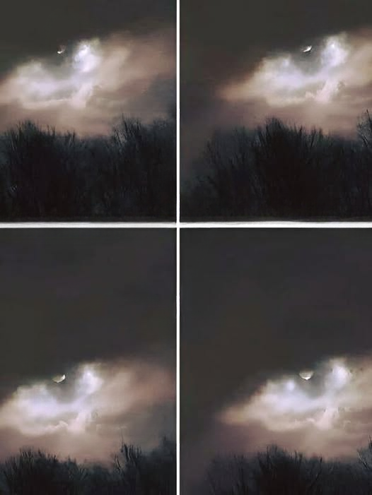 This Photo Taken Near the Tyrrhenian Sea Left Thousands Wondering What They Were Really Seeing