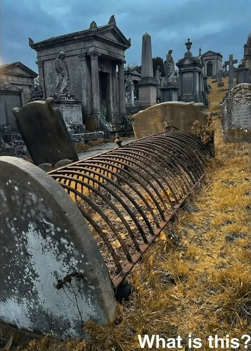 Why Some Old Graves Were Covered With Iron Cages: The Fascinating History of Mortsafes
