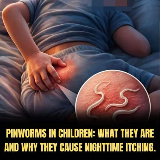 The “Midnight Itch” Explained: What Causes It, Why It Happens at Night, and How Families Can Treat It Safely