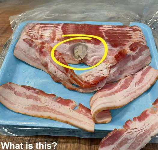 The Unexpected Discovery Hidden Inside a Simple Pack of Bacon
