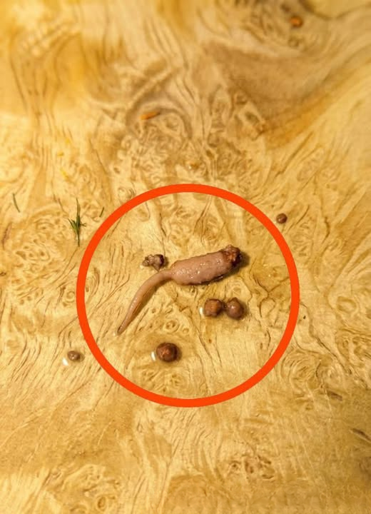 A Strange Discovery While Cooking Ground Beef Left One Person Completely Confused