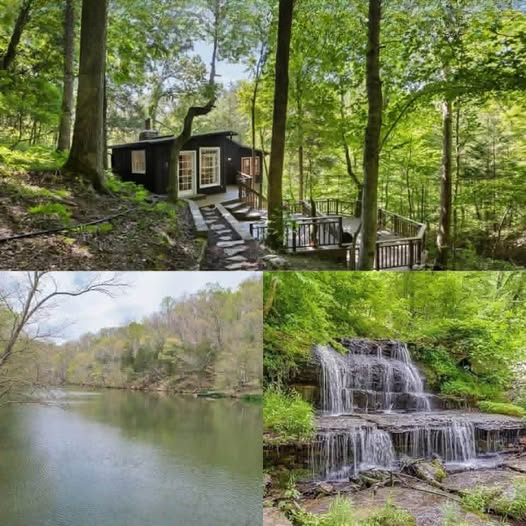Peaceful Two-Bedroom Cabin Retreat on Wooded Acreage With Lake Access in Fairview, Tennessee