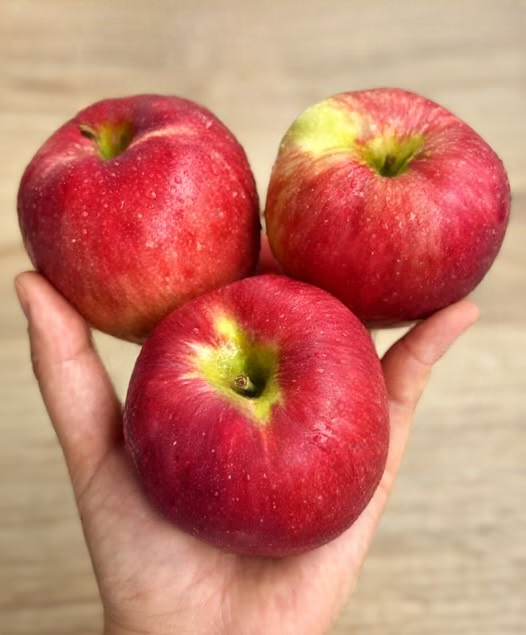 Why Apples Continue to Be One of the Most Recommended Foods for Overall Health