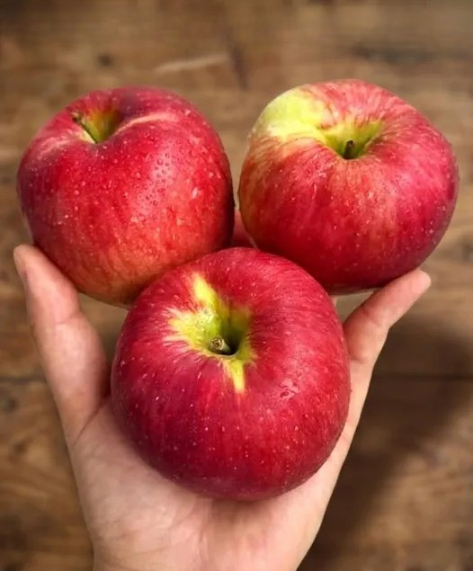 Why This Everyday Fruit Continues to Impress Nutrition Experts and Health Researchers