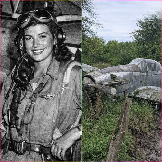 Fighter Pilot Disappeared During World War II — Decades Later, a Forest Discovery Revealed the Truth Hidden for Generations