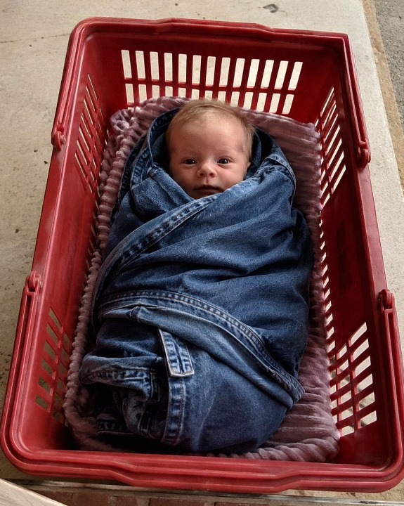 Five Years After Her Daughter Vanished, a Mother Opened Her Door to a Baby Wrapped in a Familiar Jacket