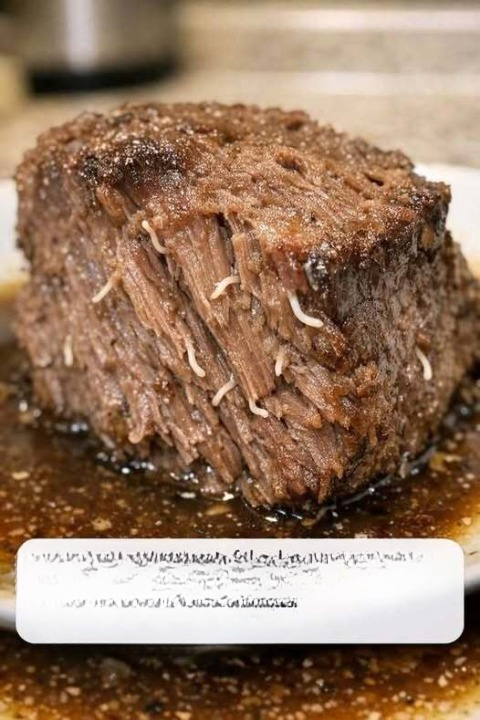 I Thought My Slow Cooker Roast Was Full of Worms — But the Real Explanation Was Surprisingly Simple