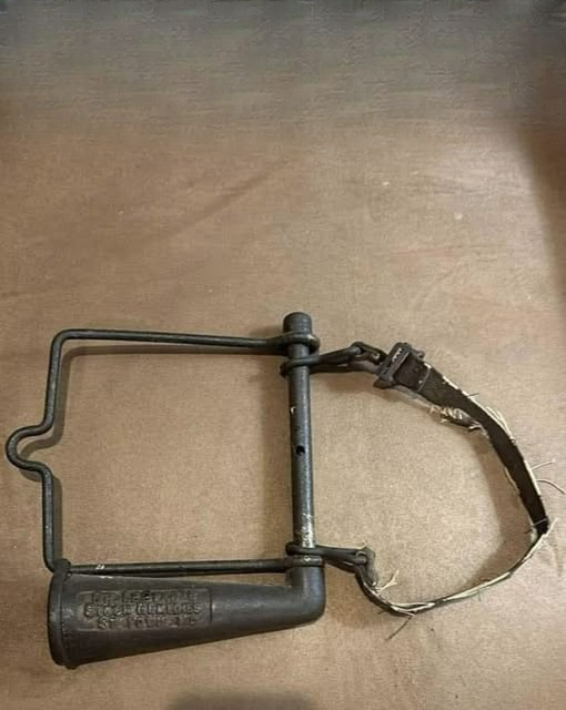 Can You Identify This Remarkable Antique Tool? The Fascinating History of the Horse Drencher