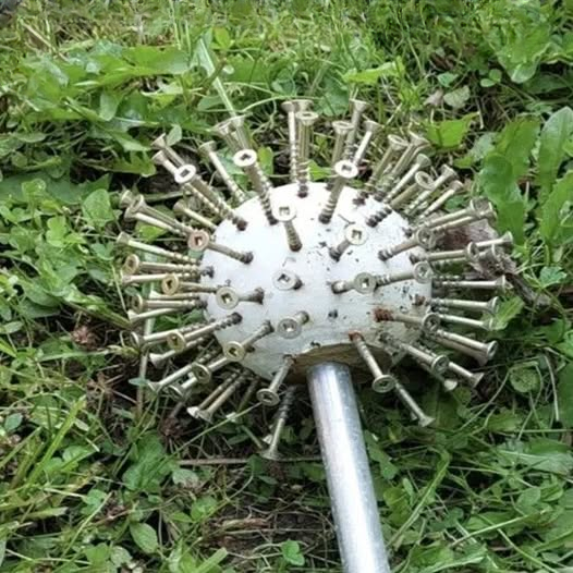The Strange Spiked Object Hidden in the Bushes: Internet Users Tried to Solve the Mystery Behind a Homemade DIY Creation