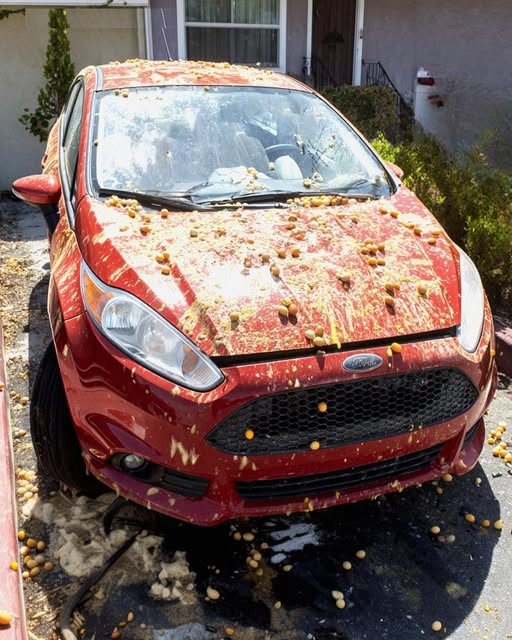 The Halloween Parking Dispute That Turned Into an Unexpected Lesson About Patience and Accountability
