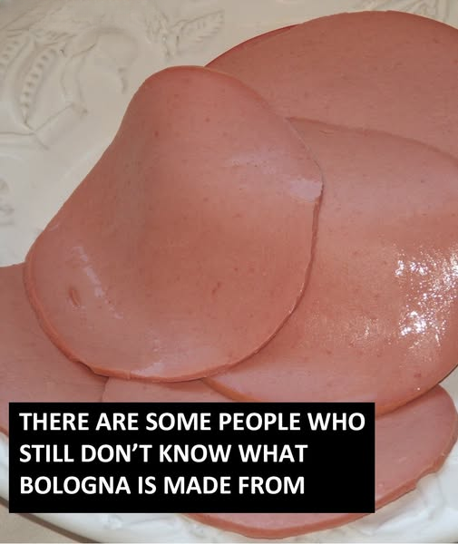 What Is Bologna Really Made Of? The Truth Behind One of America’s Most Misunderstood Lunch Meats