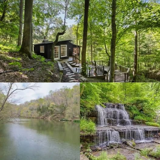 Private Two-Bedroom Cabin Retreat on Wooded Acreage with Lake Access in Fairview, Tennessee