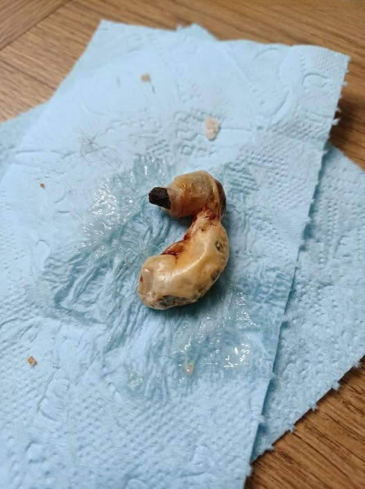 I Found Something Strange Hidden Under My Son’s Bed While Cleaning — And I Still Have No Idea What It Was