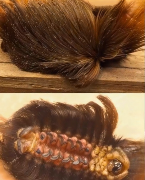 The Caterpillar Encounter That Became an Important Public Safety Reminder
