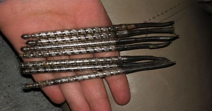 The Forgotten Tool My Friend Inherited From His Grandparents Turned Out to Be a Vintage Nut Picker With a Fascinating History