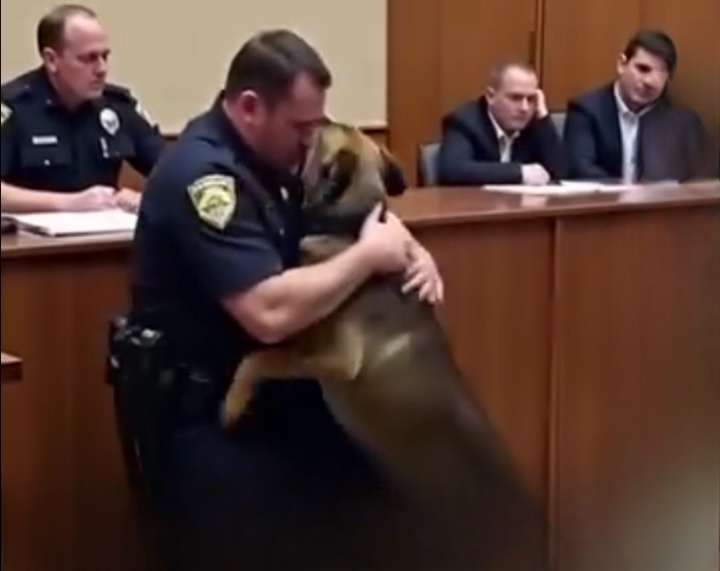 The Final Goodbye Between a Former K9 Officer and His Loyal Partner Became a Courtroom Moment Nobody Could Forget