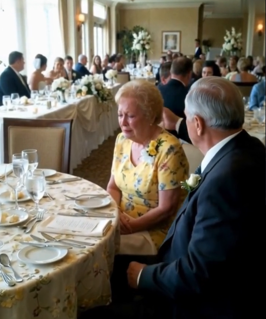 My Mother-in-Law Embarrassed My Parents at My Wedding Over Money — But What Happened Next Left the Entire Room Silent