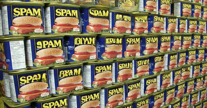 What Are the White Bits in Spam? A Clear Guide to What You’re Really Seeing