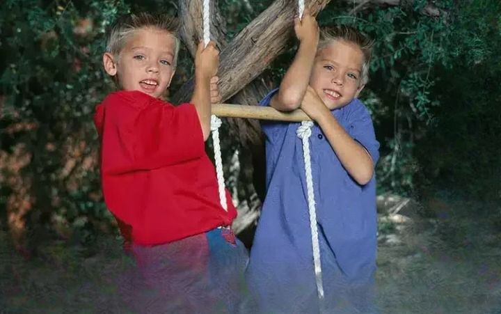 Growing Up in the Spotlight: How Cole and Dylan Sprouse Built Separate Identities While Remaining Unbreakably Close