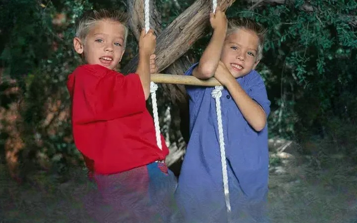 Cole and Dylan Sprouse: How Their Mother Encouraged Individuality While the Twins Built Separate Careers and Stayed Close