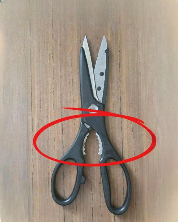 What Is the Toothed Section on Kitchen Scissors Used For?