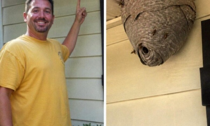 I Thought the Wasp Nest Was the Biggest Problem at Our House — Until a Family Secret Changed Everything