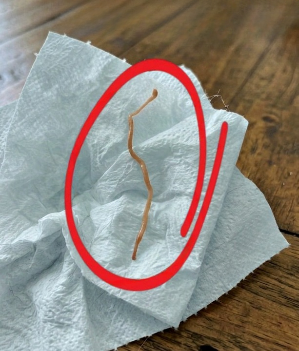 I Went to the Store for Pork Ribs — Then Noticed Something That Completely Changed My Dinner Plans