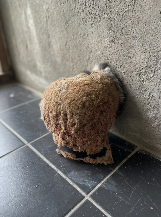 We Returned Home After Vacation Expecting Peace and Quiet — But What We Found in Our Bathroom Left Us Completely Stunned