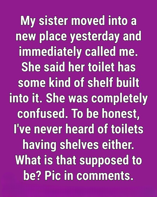 The Unusual Shelf Found in Some Toilets: Understanding Its Purpose and History
