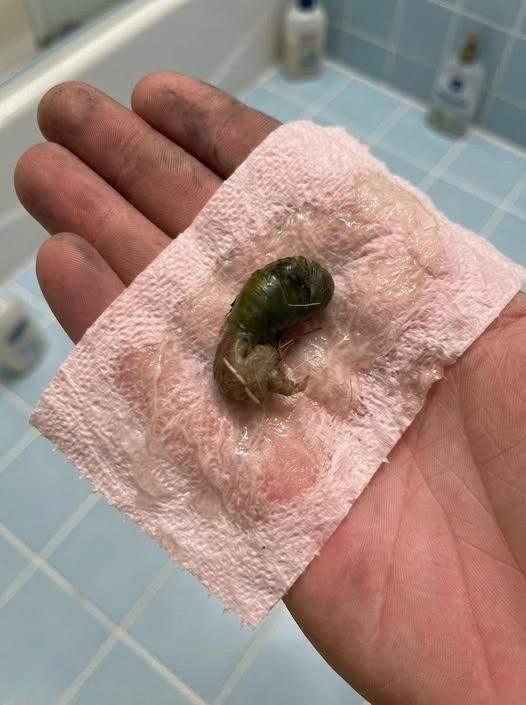 We Found This Strange Object in Our Bathroom and Have No Idea What It Is — Can Anyone Help Identify It?
