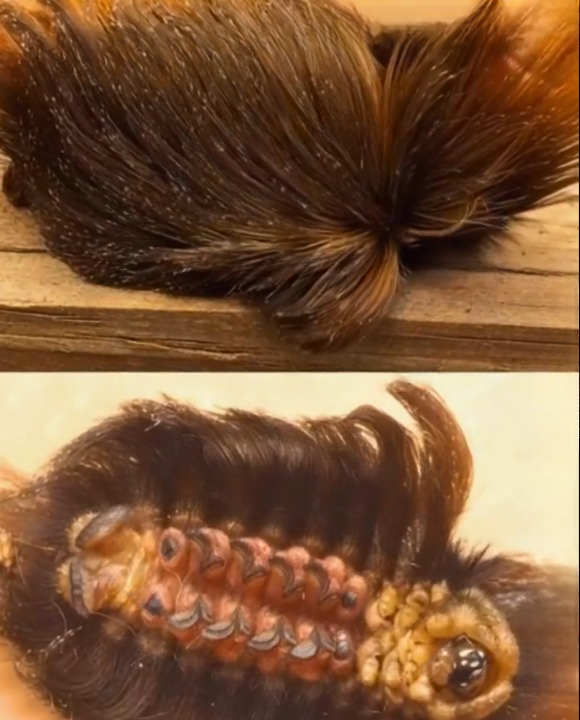An Unexpected Caterpillar Encounter Became an Important Outdoor Safety Lesson