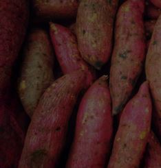 7 Impressive Reasons Sweet Potatoes Are One of the Most Nutritious Foods You Can Add to Your Diet
