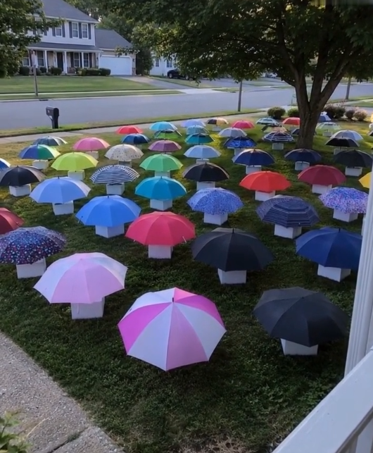 My Son Gave His Favorite Umbrella to a Stranger Standing in the Rain — The Next Morning, We Woke Up to a Surprise That Brought Our Entire Neighborhood Together